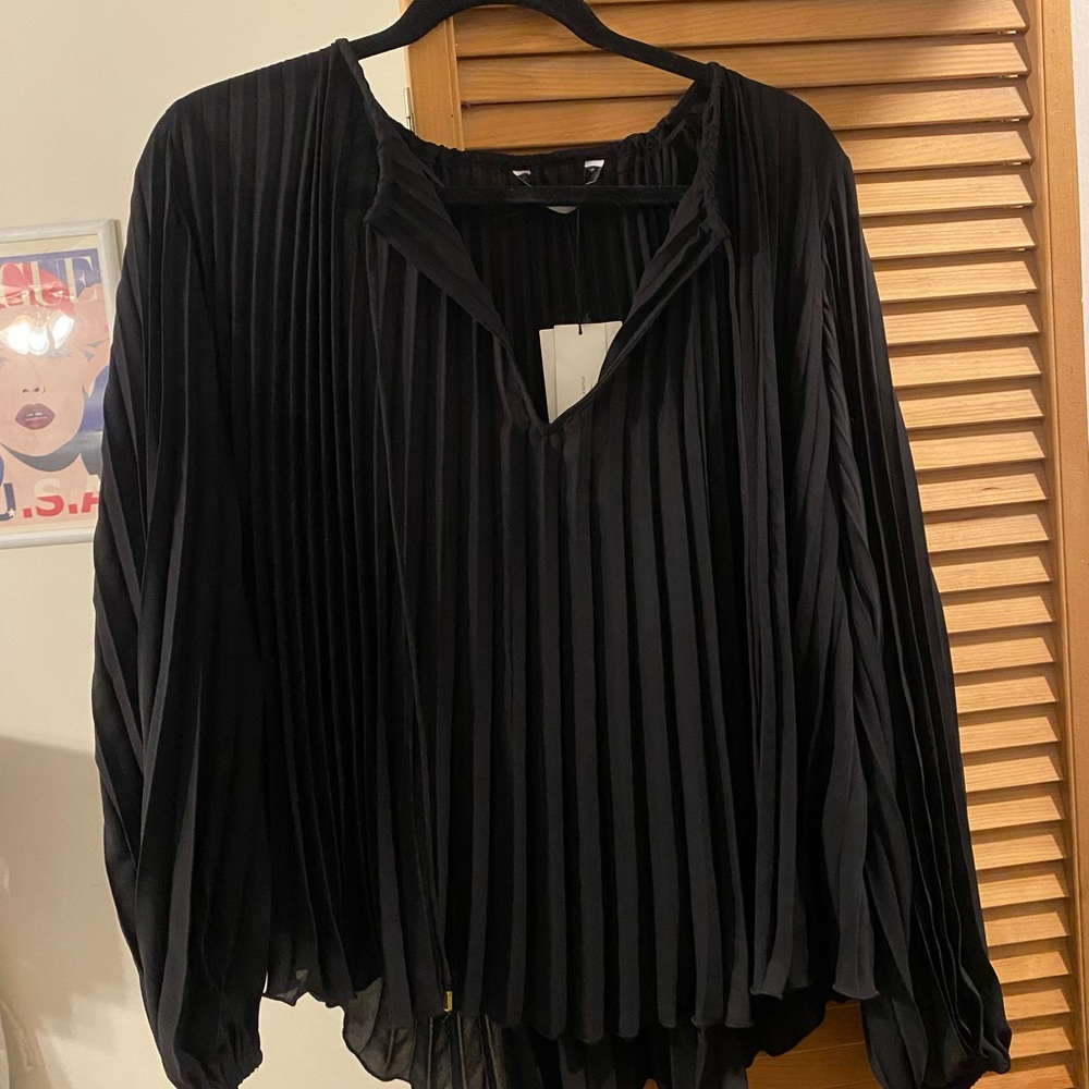 Zara pleated blouse